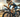 4iiii partners with Quintana Roo to Power Performance Triathlon and Road Bike Range