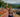IRONMAN 70.3 Chattanooga results 2026: Alexander defends but Long has no answer to shock winner MacLean