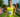 BACC's Icebreaker Triathlon set for April 25