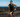 Conquer the Kona Heat: Dr. Dan Plews on Race-Day Pacing, Cooling, and Nailing Your Big Island Execution