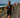 Vincent Luis Debuts and Retires with Spectacular Victory at Ironman World Championship Kona