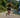 Alex Yee runs fastest ever 10k on Olympic Distance at WTCS Grand Final Pontevedra