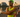 Tempe streets close Sunday for Cactus Man race