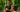 Triathlon runner credits Apple Watch for saving his life