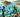 Island triathletes secure European Championships spots