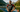 "One more Kona and one more Roth" for triathlon legend Patrick Lange