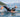Open Water Swimming Guide for Triathletes