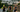 U.S. Elite Triathletes Head to Karlovy Vary for Final WTCS Stop Before World Championships