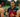 Triathlon's top coach: Dan Lorang on guiding IRONMAN World Champions and pro cycling greats