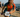 Island triathlon club hosts swim and run event in Gurnard