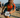 Island triathlon club hosts swim and run event in Gurnard