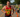 Pierce captures his third Rocketman triathlon title