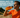 What Endurance Athletes Need to Know About Sodium and Supplement Limits