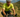 What triathletes can learn from Alistair Brownlee winning a 600km bikepacking race