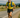 New film documents local man's 914 mile mega-marathon for his 65th birthday