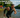 K-Town on the River Triathlon