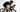 Quintana Roo Debuts Service Route Tri