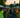 Preparations getting underway for Sunday’s Ironman 70.3 Maine triathlon in Augusta