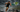 Ironman 70.3 New York Pros Re-Routed to Augusta