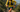Triathlon GOAT Jan Frodeno ACES his first big ultra trail run in Nice