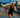 Men’s World Triathlon Championship Ends In Controversy When Winner Ignores The Rules During Photo Finish