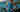 2025 Women's Ironman World Championship Race Week Live