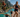 IRONMAN 70.3 Worlds 2026 women's race: How to watch and full preview