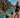 IRONMAN 70.3 Worlds 2026 women's race: How to watch and full preview