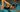 Master the Freestyle Swimming Catch: 5 Proven Techniques to Boost Speed and Efficiency in the Pool
