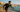 Place Your Bets: AI Predicts the Ironman 70.3 World Championship