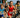 Youngsters flex skills at North Shore Triathlon