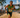 An Exclusive 2026 Ironman World Championship Photo Gallery