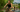 The 19-Year-Old Champion Balancing Off-Road, Draft-Legal, and College Triathlon