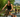 The 19-Year-Old Champion Balancing Off-Road, Draft-Legal, and College Triathlon