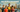 World Triathlon and the Professional Triathletes Organisation reveal tour calendars for 2027