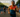 August 2026: The Key Triathlon Races to Watch This Month