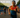 August 2026: The Key Triathlon Races to Watch This Month