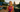 Olympic Champion Gwen Jorgensen To Race at Ascension Seton Supertri Austin