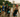 TriWaco triathlon carries on longstanding distance race tradition in Central Texas