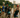 TriWaco triathlon carries on longstanding distance race tradition in Central Texas