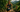 2026 XTERRA Costa Rica Hosted Triathlon Legends, Trail Champions and Off-Road's Next Generation