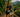2026 XTERRA Costa Rica Hosted Triathlon Legends, Trail Champions and Off-Road's Next Generation