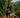 2026 XTERRA Costa Rica Hosted Triathlon Legends, Trail Champions and Off-Road's Next Generation