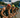 Tri-Pike Triathlon glides out of the starting blocks