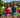 Top pro triathletes head to Redding for IRONMAN 70.3 Northern California