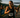 Anything is possible: My experience at the Maine Ironman triathlon