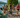 Over 300 athletes compete in Back Mountain Triathlon