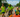 Great American Triathlon brings special meaning to racers along the American River Parkway