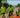 Great American Triathlon brings special meaning to racers along the American River Parkway