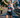 **From Altitude to Victory: How Cassandra's Strategic Season Planning and Home Crowd Power Fueled Her Mini Olympics Performance**
